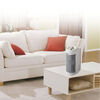 Purificador de Aire Oster OAP706-051