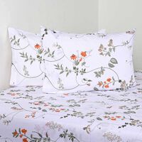 Juego de Sábanas Estampado Cannon 200 Hilos King Windy