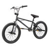 Bicicleta Infantil Oxford Spine - Freestyle Aro 20