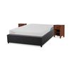 Space Box CIC 2 Plazas Excellence Plus