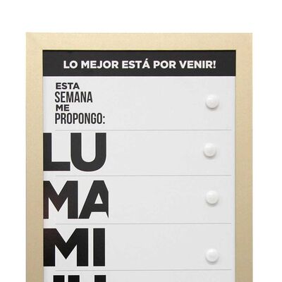 Imagen 2 del producto Pizarra Plástico Vgo Work 30 x 60 cm Dorado