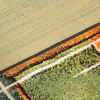 Alfombra Inusual Dib 160 x 230 cm