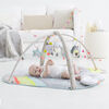 Gimnasio Silver Cloud Skip Hop