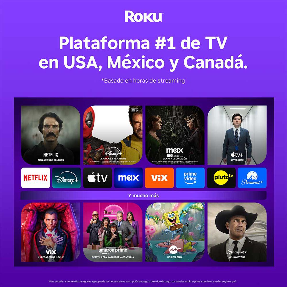 Reproductor Streaming Roku Express 4K
