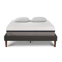Cama Europea CIC 2 Plazas Balance + Almohadas Viscoelásticas
