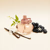 Perfume Shakira S By Shakira Florale EDT 50 ml