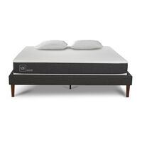 Cama Europea CIC 2 Plazas New Ortopedic + Almohadas