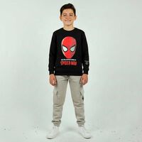 Polerón Spider-man Niño Licencias Negro