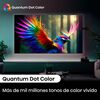 Mini LED 55" Hisense 55U6N Smart TV 4K UHD