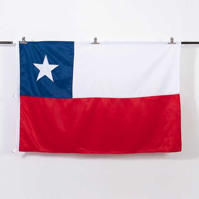 Bandera Chilena Plumetti Bordada