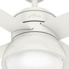 Ventilador de Techo Airolite 52" Loki