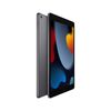 Tablet Apple iPad 9na gen 64GB 10,2" Gris espacial