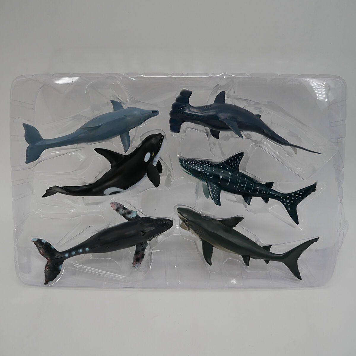 Set Animales Marinos