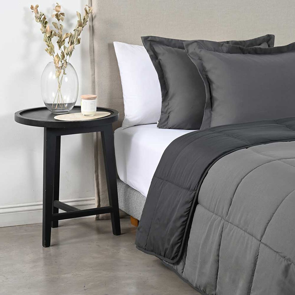 Plum&oacute;n American Family King Bicolor Marengo