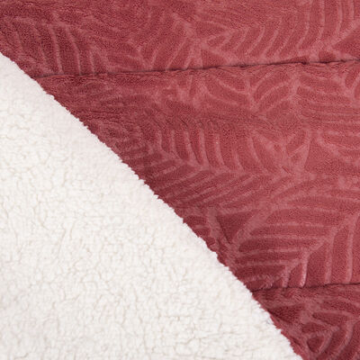 Imagen 2 del producto Plumón Mashini King Liso Cereza