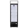 Visicooler Maigas LG268 268 lt