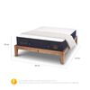 Cama Europea CIC King OAK Súper Premium + Plumón Ganso