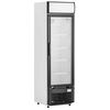Visicooler Maigas LG268 268 lt