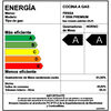 Cocina a Gas Fensa F5500 Premium 5 Quemadores