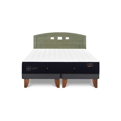 Imagen 1 del producto Cama Europea CIC Base Dividida 2 Plazas Premium + Respaldo Gales Olivo