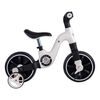 Triciclo Xt05 Negro Bebesit