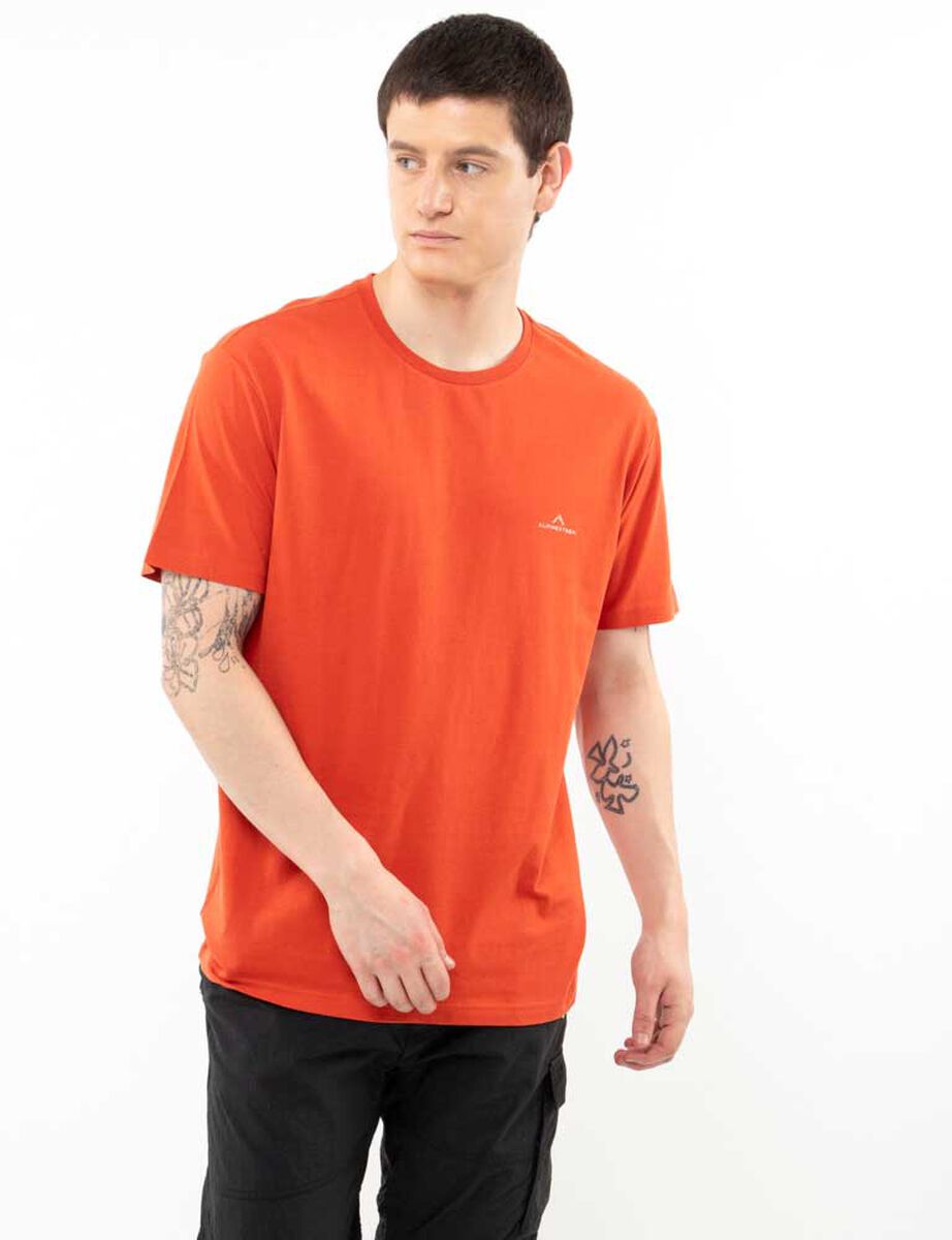 Polera Deportiva Hombre Alpinextrem