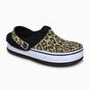 Zapato Mujer Icono