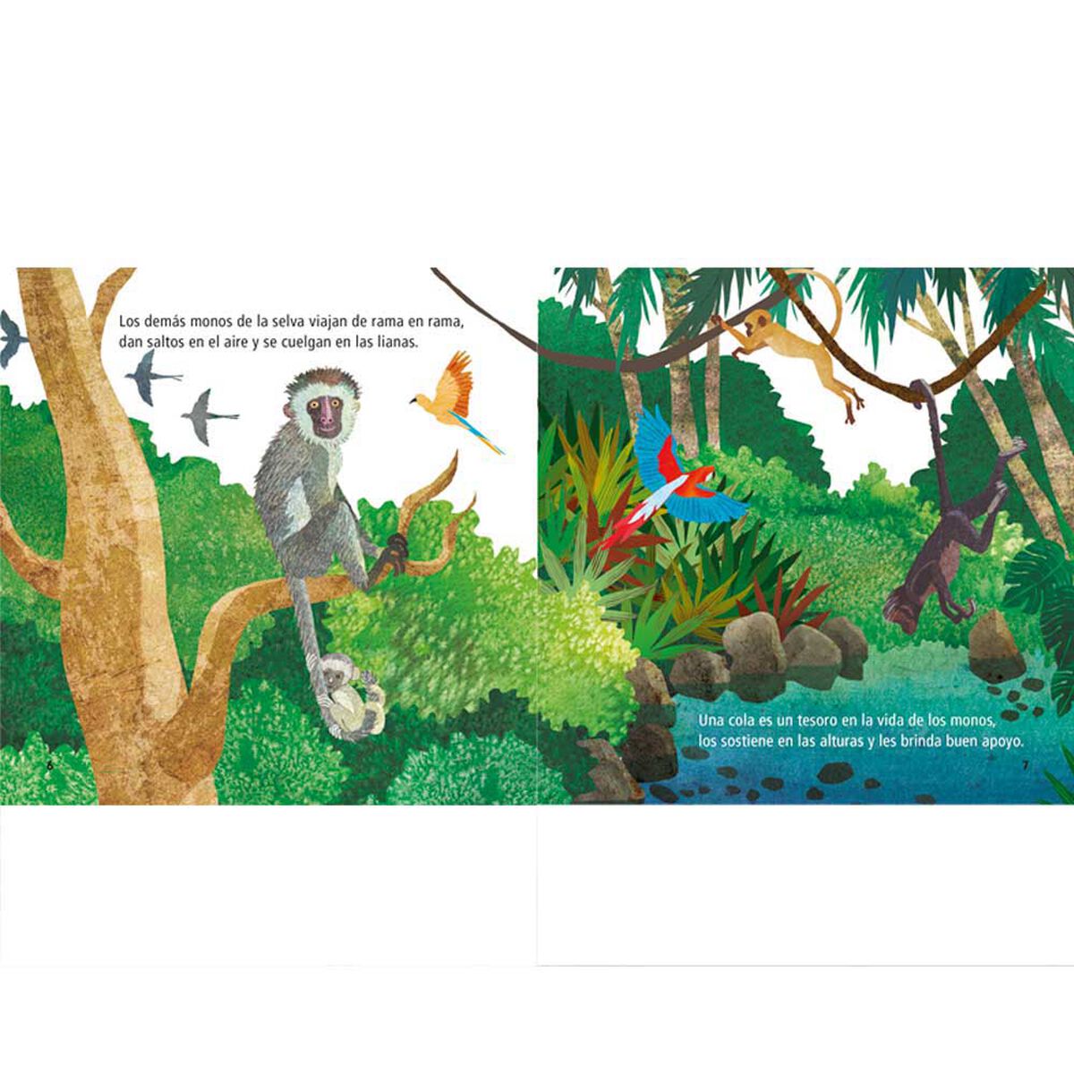 Libro Juan José y Amapola Trinidad Castro Zig-Zag