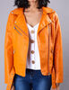 Chaqueta Básica Fiorucci Color