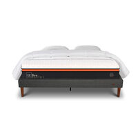 Cama Europea CIC 2 Plazas Bee Comfort + Almohadas + Plumón