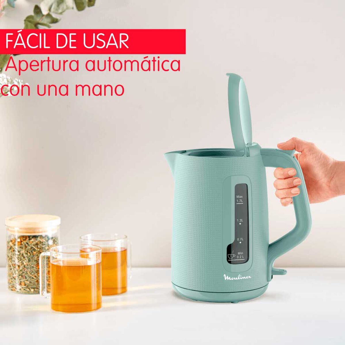 Hervidor Moulinex BY2M1310 1,7 lts.