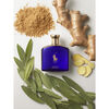 Perfume Ralph Lauren Polo Blue Gold Blend EDP 125 ml