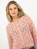 Sweater Crochet Mujer Icono