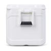 Cooler Marine Profile II Igloo 47 Litros