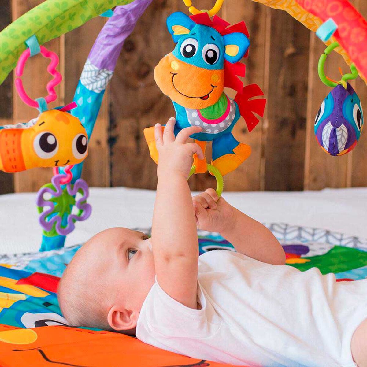 Gimnasio Interactivo Playgro