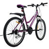 Bicicleta Alpinextrem Lady Aro 24
