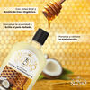 Pack Tio Nacho Coco Shampoo 415 ml + Tratamiento 200 g
