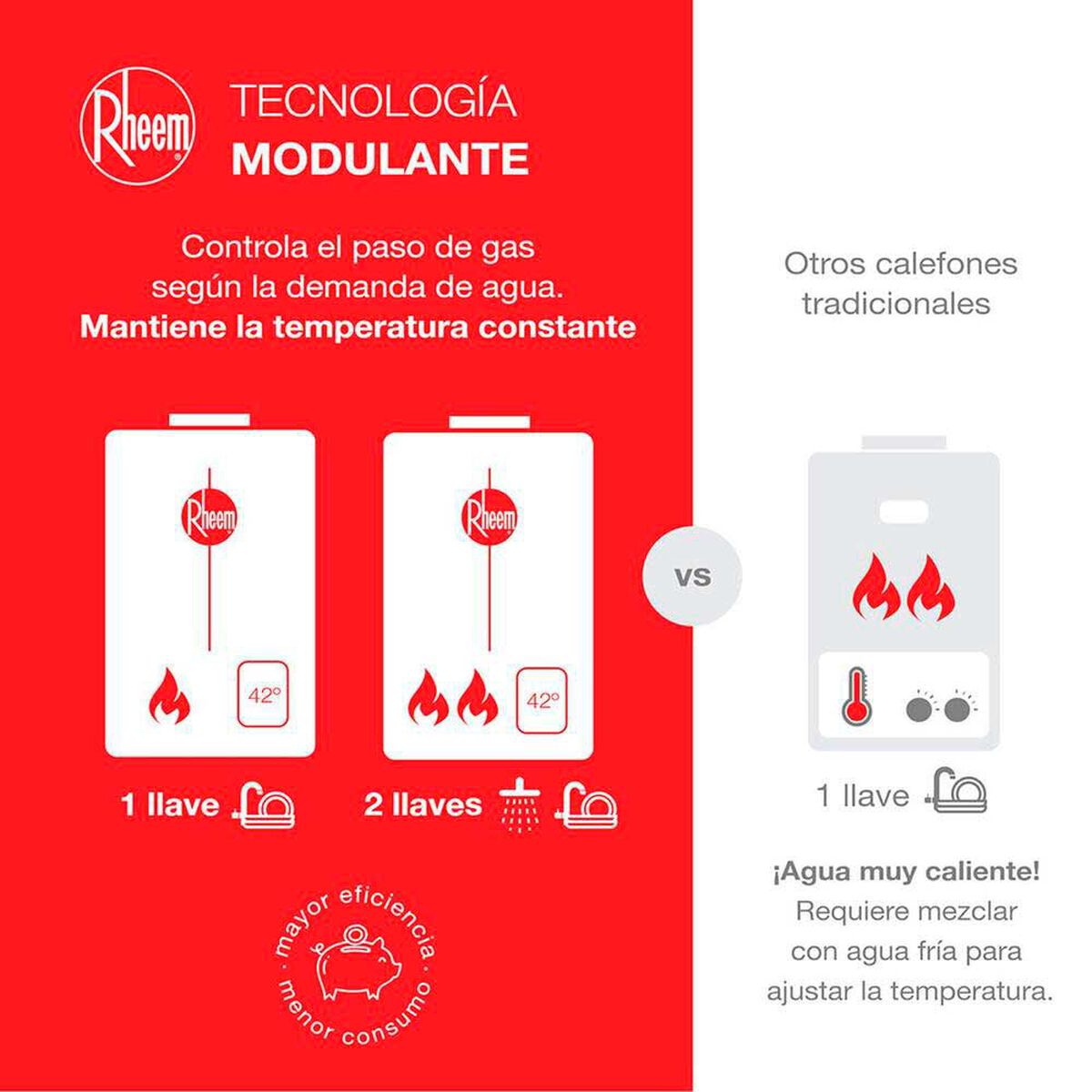 Calefont Digital Rheem Prestige 10 lts. Gas Natural