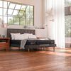 Cama Europea CIC 2 Plazas S&uacute;per Premium + Almohadas Viscoel&aacute;sticas + Plum&oacute;n
