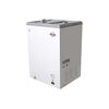 Freezer Horizontal Maigas SD-100 100 lts.