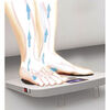 Máquina de Ejercicio BodyTrainer Full Legs DX