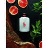 Perfume Ralph Lauren Polo Red Rush EDT 75 ml