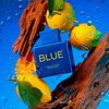 Perfume Antonio Banderas Hombre Blue Seduction Summer Essence 100 ML