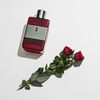 Perfume Antonio Banderas The Secret Temptation Men EDT 50 ml