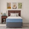 Cama Americana CIC 1,5 Plazas Excellence + Respaldo + 1 Velador Olmo + Plumón