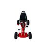 Gokart Pro Alpinextrem S23 D13gopros