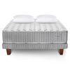 Cama Europea Cannon King Hybrid Cotton + Almohadas Microfibra 50x90 cm