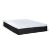Colchón Latam Home 2 Plazas Zen Top Spring Soft