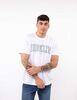 Polera Manga Corta Hombre Icono