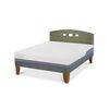 Cama Europea CIC 2 Plazas Excellence Plus + Respaldo Gales Olivo